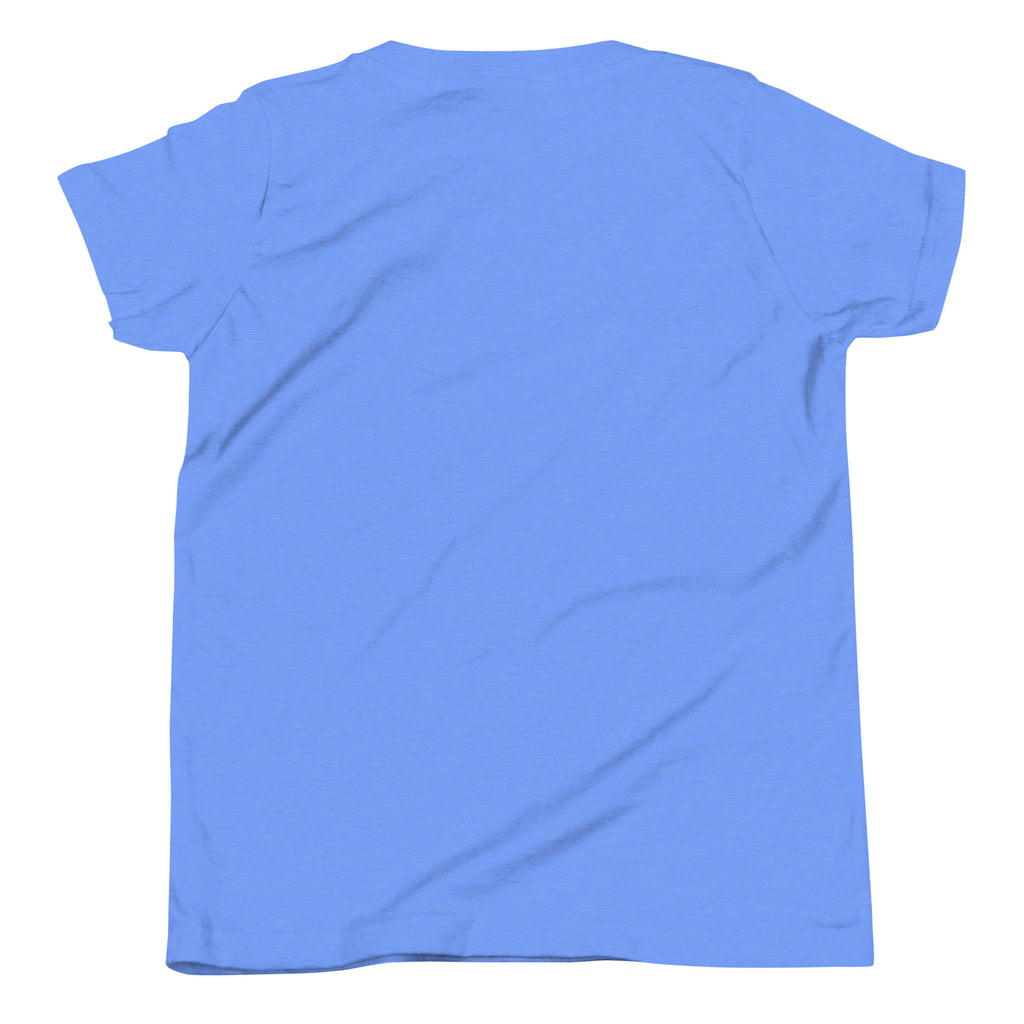 DURO Youth Wrestling everyday tee in heather columbia blue, back view