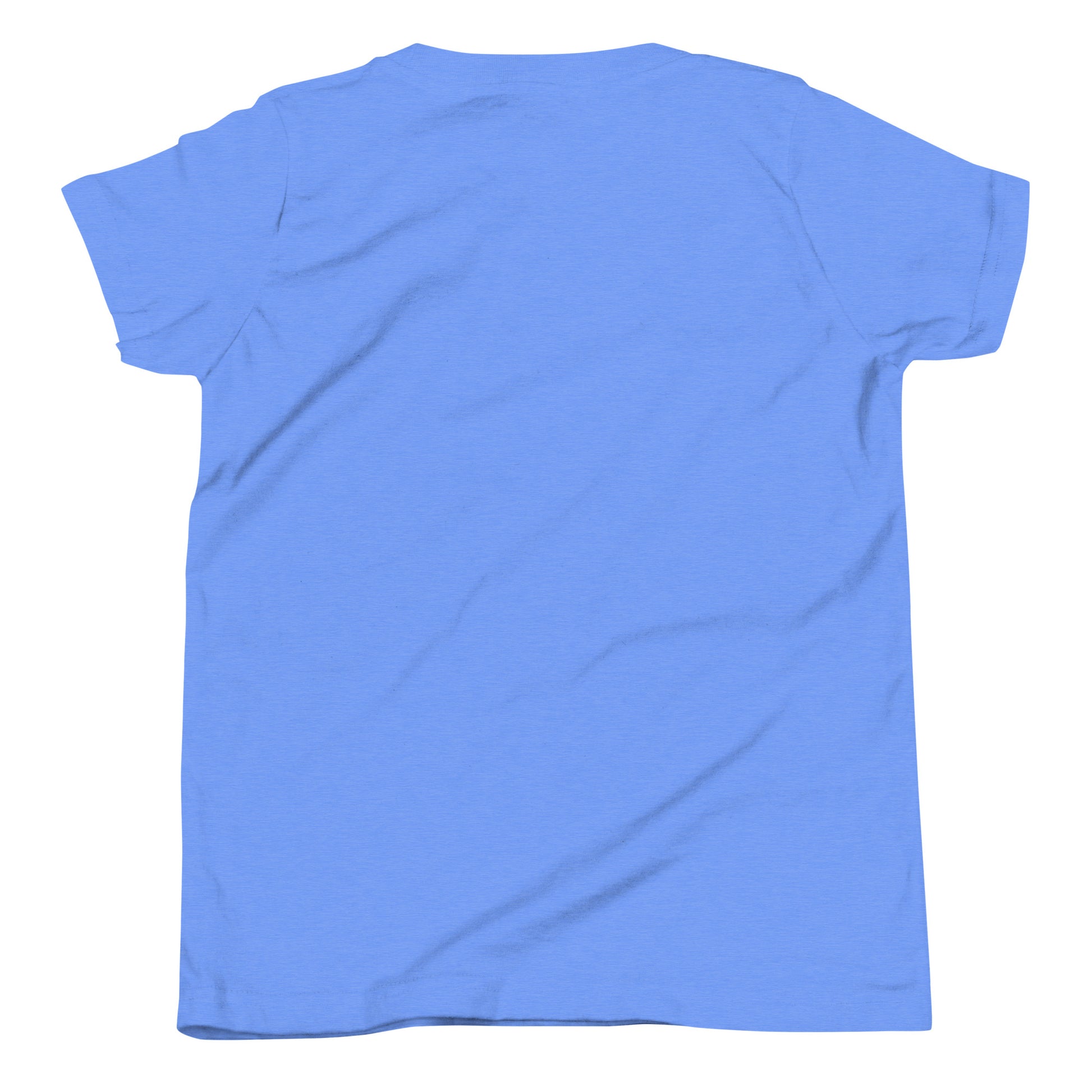 DURO Youth Wrestling everyday tee in heather columbia blue, back view