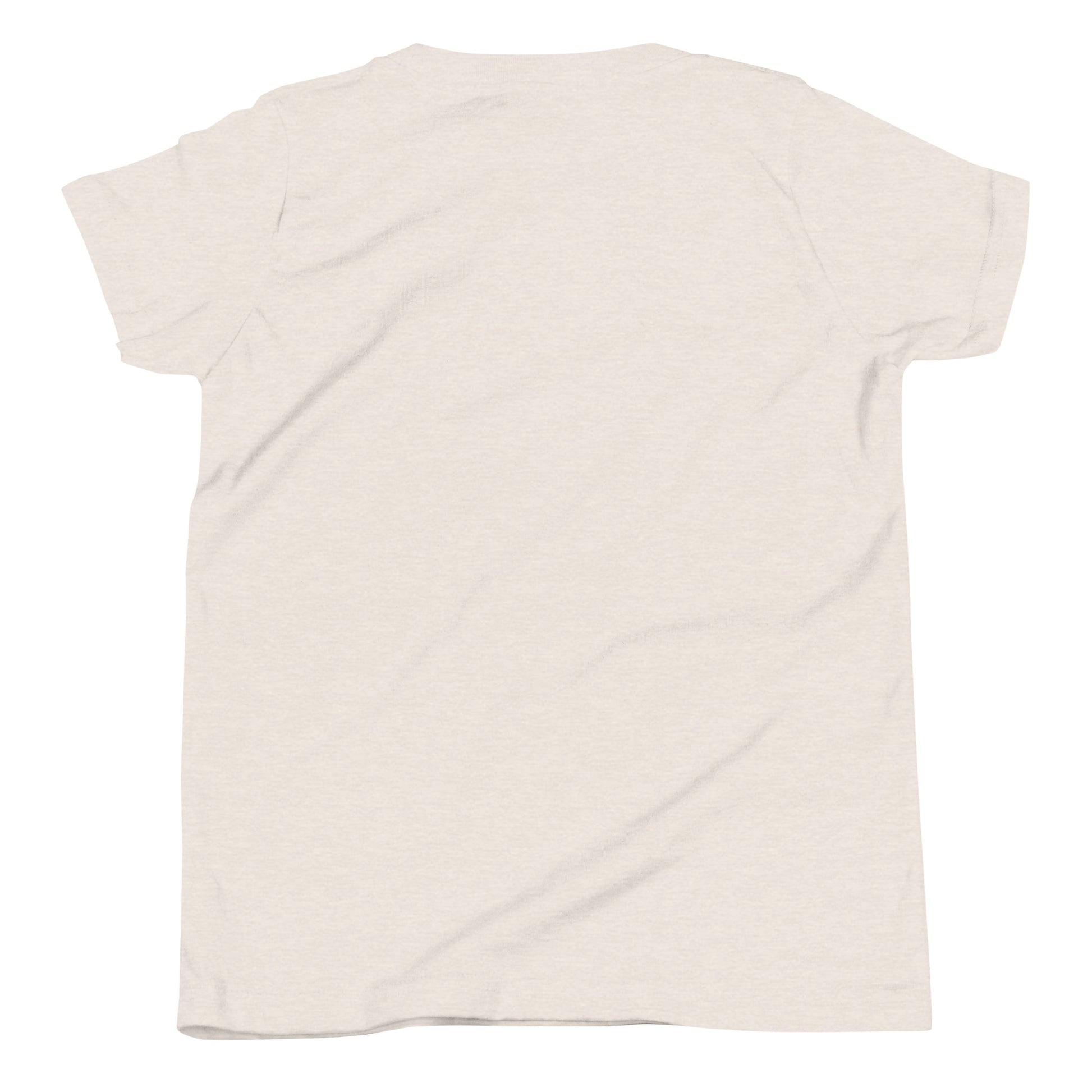 DURO Youth Wrestling everyday tee in heather dust, back view